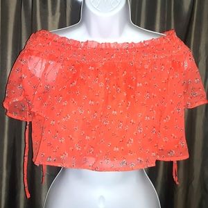 Abercrombie and Fitch Floral Crop Top